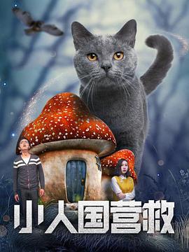 一级特色黄大片