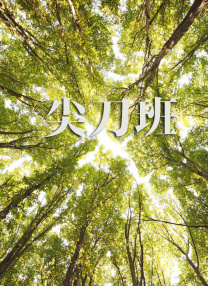 国产日韩一区二区